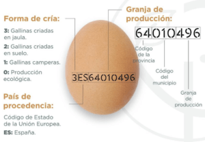 Lee más sobre el artículo ¿Qué significan los números que aparecen en los huevos?