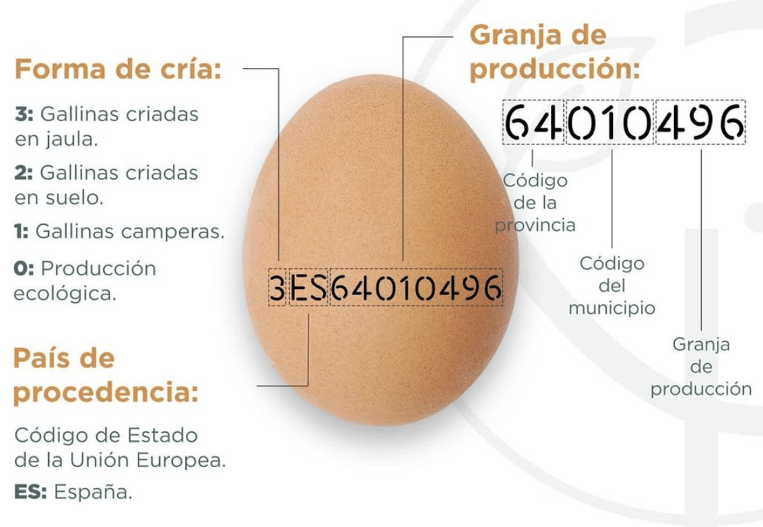 En este momento estás viendo ¿Qué significan los números que aparecen en los huevos?
