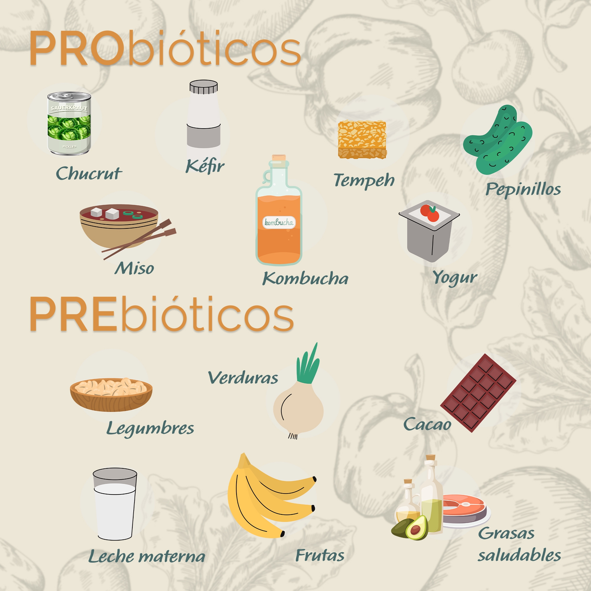 Lee más sobre el artículo Prebióticos y probióticos. ¿Qué son?